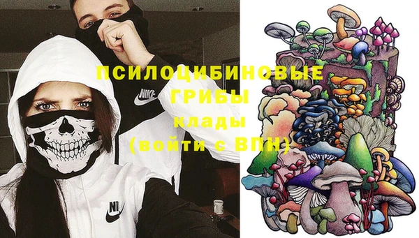 Альфа ПВП Вяземский